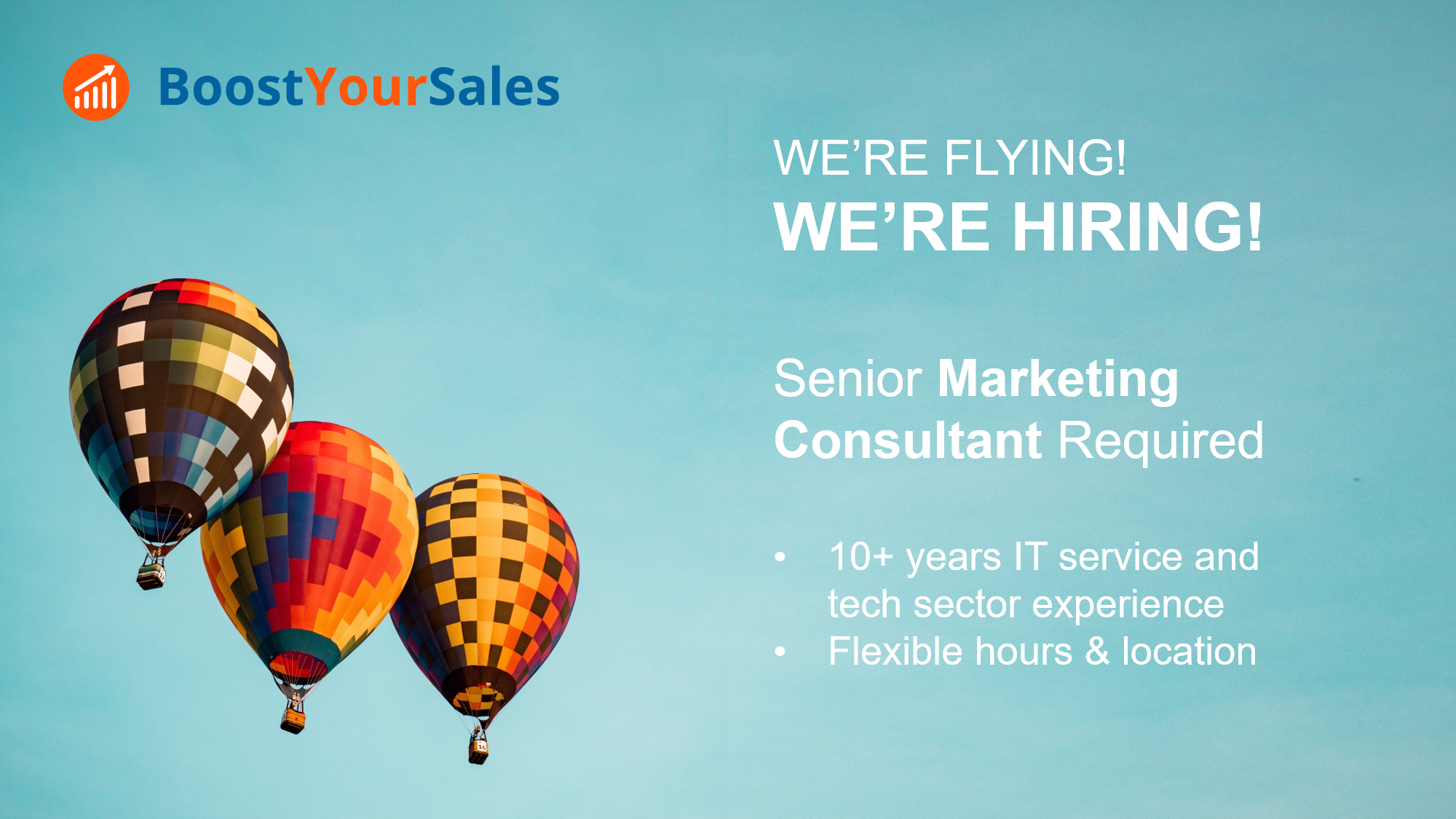 Senior Marketing Consultant
